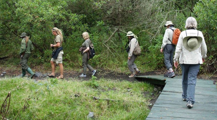 Tanzania Trekking
