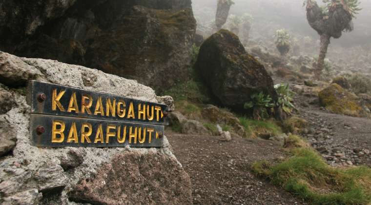 Tanzania Trekking